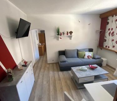 Untertschern Apartment | NOCK - Zentrum Appartement