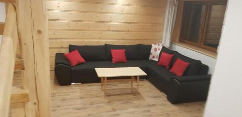 Witow Ski Chalet | NowiNowe Domki