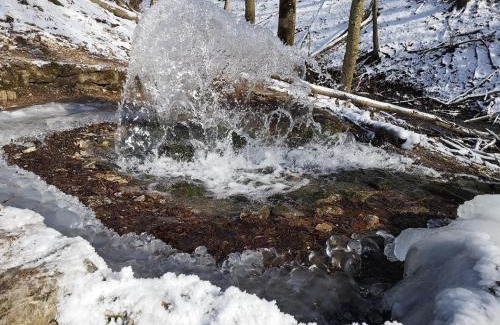 Felsotarkany House | Nyitott Kapu Vendégház