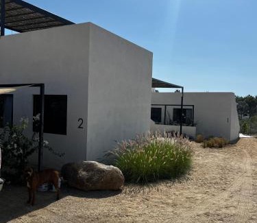 Todos Santos House | Ocean View, Gorgeous Rooftop, AC, Wifi & Peaceful