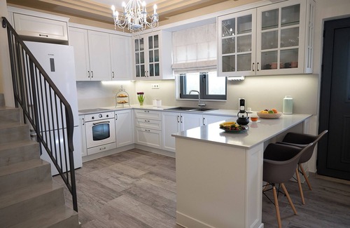 Sarkhos Villa | Olive Tree