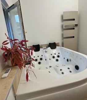Auxerre Apartment | Parenthèse sous les toits - suite cosy avec jacuzzi - hypercentre