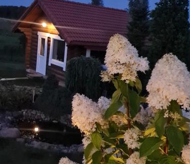 Alytus county House | Pavasario Namai & SPA