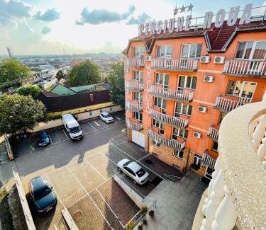 Arad House | Pensiune Roua 2