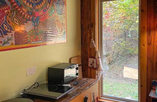 Marshall Apartment | Pet-Friendly Leicester Mountain View Escape