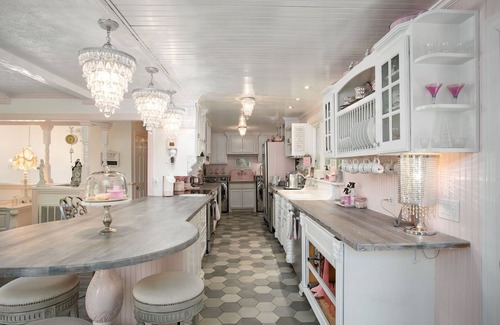 Bellevue Other | Pink Country Cottage w/Mini Donkey Duo in Nashville: Private, Wooded +Spacious