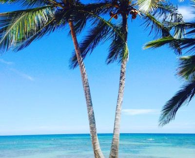 Punta Cana Apartment | Playa Palmera Beach Resort