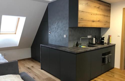 Bela pod Pradedem Apartment | Pod střechou hor