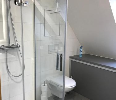 Bela pod Pradedem Apartment | Pod střechou hor