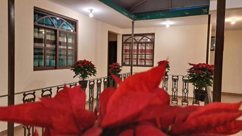 Zacatlan Hotel | Posada Naím