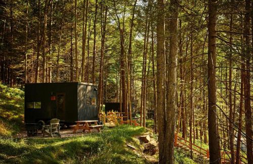 Basye Other | Postcard Cabins Shenandoah North, Outdoor Collection by Marriott Bonvoy