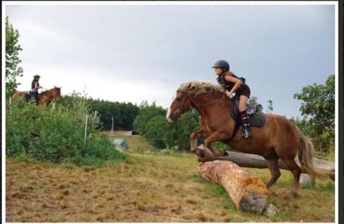 Probulov Other | Ranch Calamity Jane