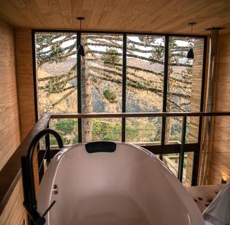 Urubici Cabin | Rancho Denver