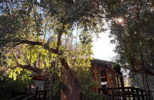 Constitucion Cabin | Reserva los Bollenes
