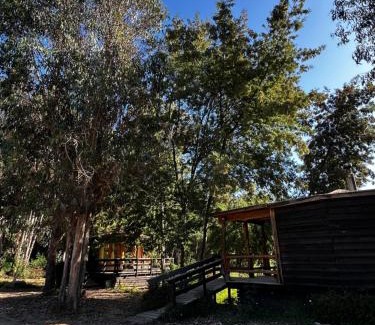 Constitucion Cabin | Reserva los Bollenes
