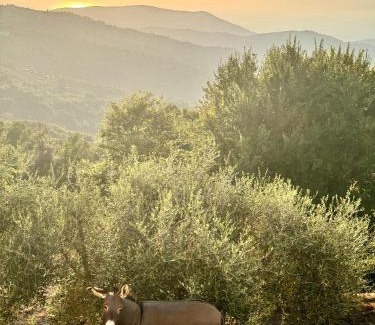 Lustra House | Residence Mancini - Cilento Home & Sunset