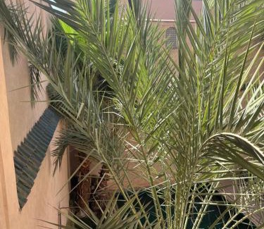 Mouassine House | Riad 29 Mouassine