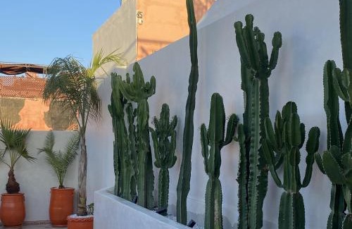 Medina House | Riad Oasissime