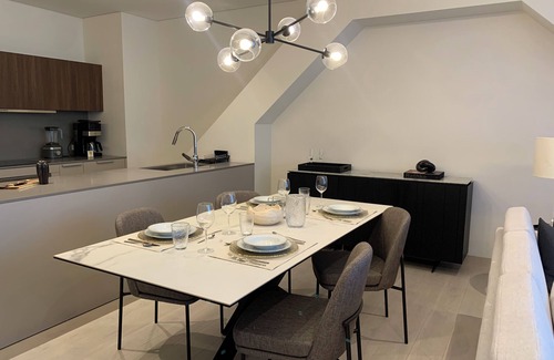 Colonia Cuauhtemoc Apartment | Ritz Carlton Branded Residence