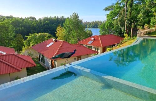 Hikkaduwa Hotel | River Shades Hotel