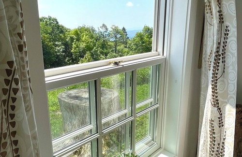 Glenford Apartment | Robin's Nest Studio in Woodstock with garden view of Ashokan