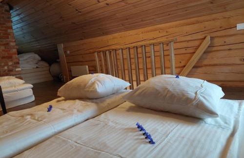 Suvainiskis House | Roksala