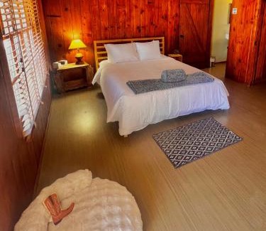 Joshua Tree Hotel | Room 5 - Downtown Joshua Tree Motel - Pet Friendly - Walk to Shops & Visitor Center, Minutes to Park Entrance