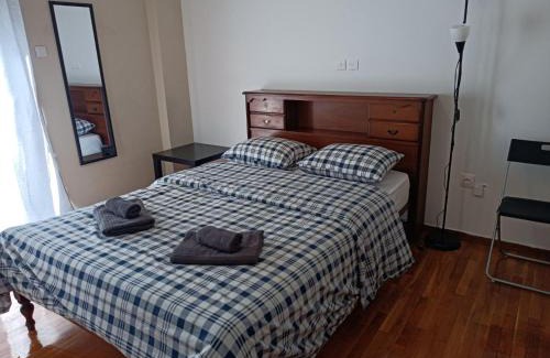 Neos Kosmos House | Rooms in the apartment (Leontiou)