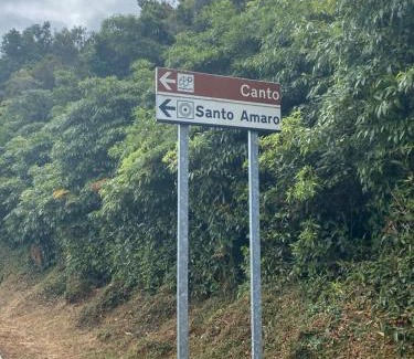 Santo Amaro House | Rosa Chá