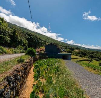 Santo Amaro House | Rosa Chá