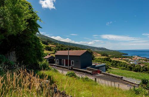 Santo Amaro House | Rosa Chá