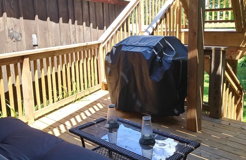 Thomasburg Apartment | Rural Country Setting- Rustic and Charming Log Guest Suite