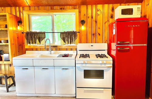 Indian Lake Cabin | Rustic Lake View Cabin in Heart of Adirondacks
