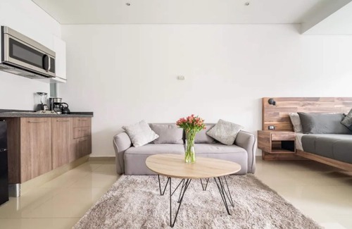 Roma Norte Apartment | S2306- 1BR/1 BTH Deluxe