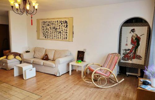 Schonach im Schwarzwald Apartment | Schonach 2-apartments, mountain-Top next to forest, free parking, new kitchen, high-speed internet