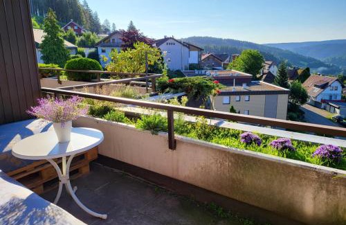 Schonach im Schwarzwald Apartment | Schonach 2-apartments, mountain-Top next to forest, free parking, new kitchen, high-speed internet