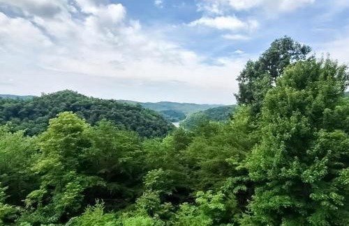 New Tazewell House | Serenity Now