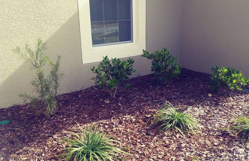 Palm Coast House | Sherman estates New canal home.