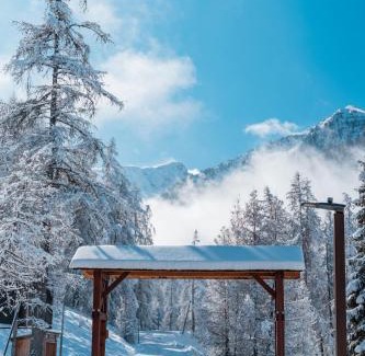 Les Orres Ski Chalet | Ski et Détente Les Orres 1650 Animaux OK