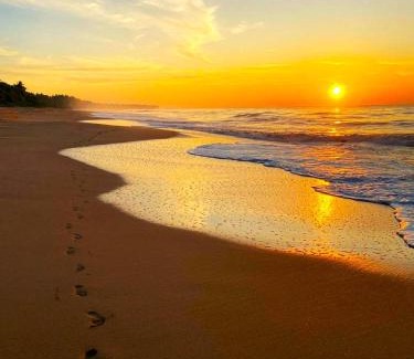 Ranna Hotel | Sleeping Elephant Beach Resort