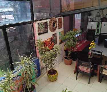 Coripata Apartment | SOLGARDENs