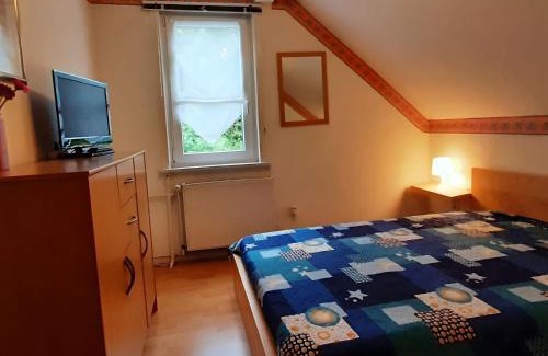 Wildemann Apartment | Sonniges Dachgeschoss-Refugium, Wildemann