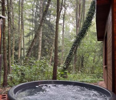 gmina Jakubow House | Sosnowy Strumyk