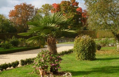 Vicq-sur-Nahon House | Spacieuse fermette près des châteaux & Zoo de Beauval avec activités et grand jardin - FR-1-591-218