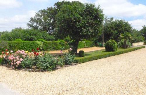 Vicq-sur-Nahon House | Spacieuse fermette près des châteaux & Zoo de Beauval avec activités et grand jardin - FR-1-591-218