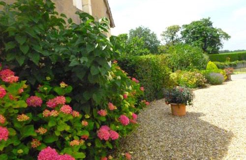 Vicq-sur-Nahon House | Spacieuse fermette près des châteaux & Zoo de Beauval avec activités et grand jardin - FR-1-591-218