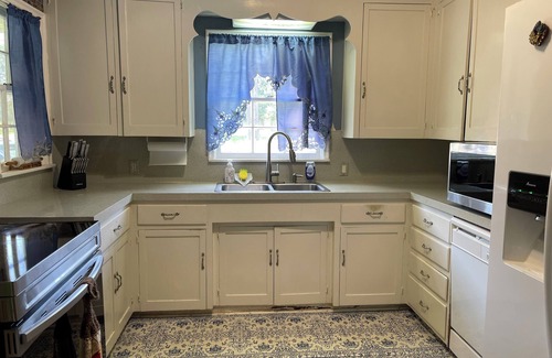 Flint House | Spacious 5 bedrooms with an office, 2 kitchens, and 2 large porches in Flint.