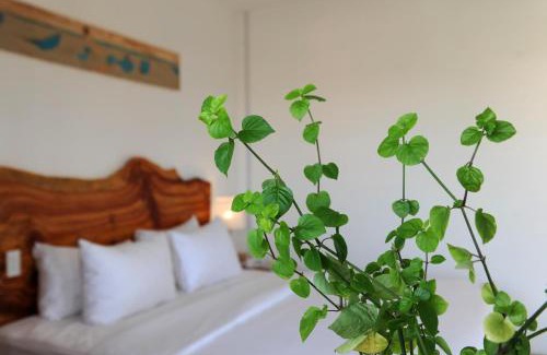 Ap Thien Ai Resort | Stop And Go Làng Chài Bàu Trắng