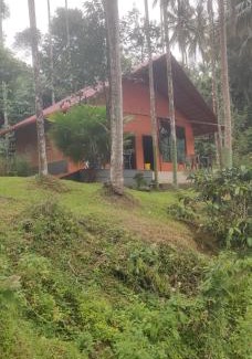 Virarajendrapet House | STREAM side