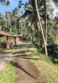 Virarajendrapet House | STREAM side